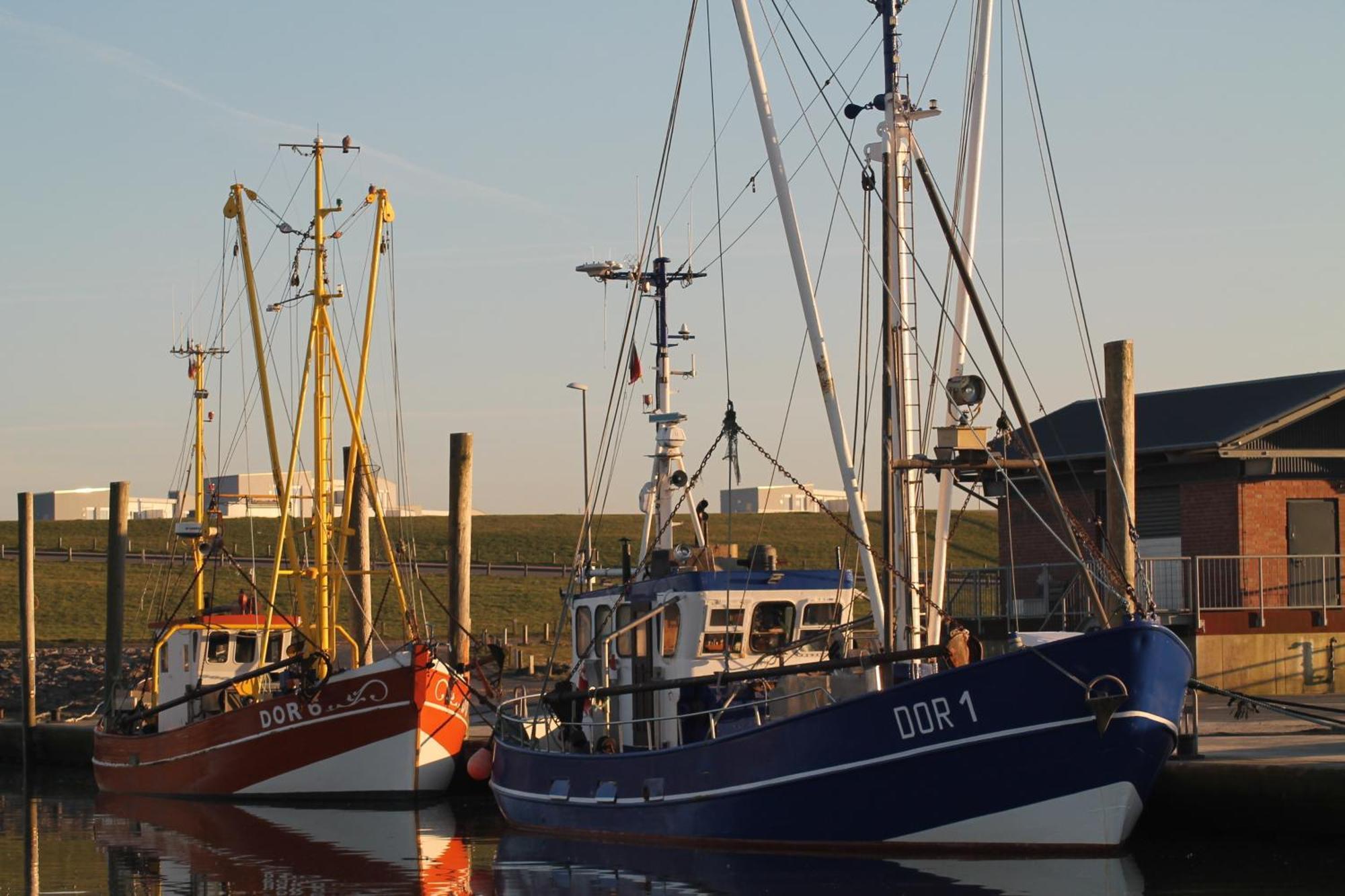 Ferienhaus Helder โดรุมนอยเฟลด์ ภายนอก รูปภาพ